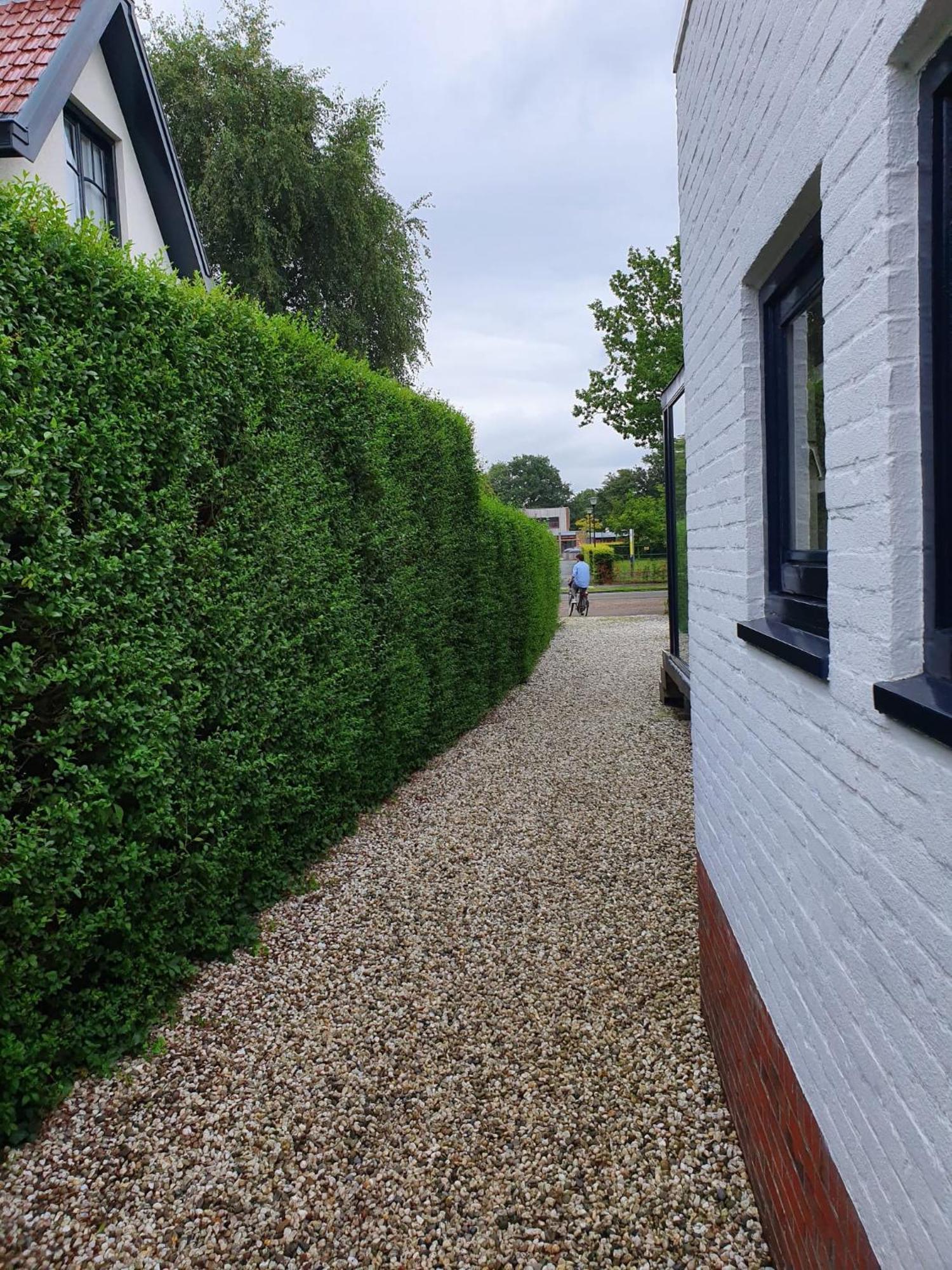 Zelfstandig Gastenverblijf In Het Groene Haren Nabij Groningen Екстериор снимка